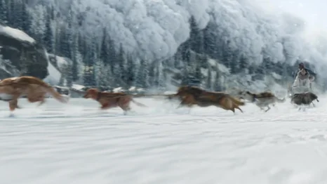 Porno qolga va becerdin