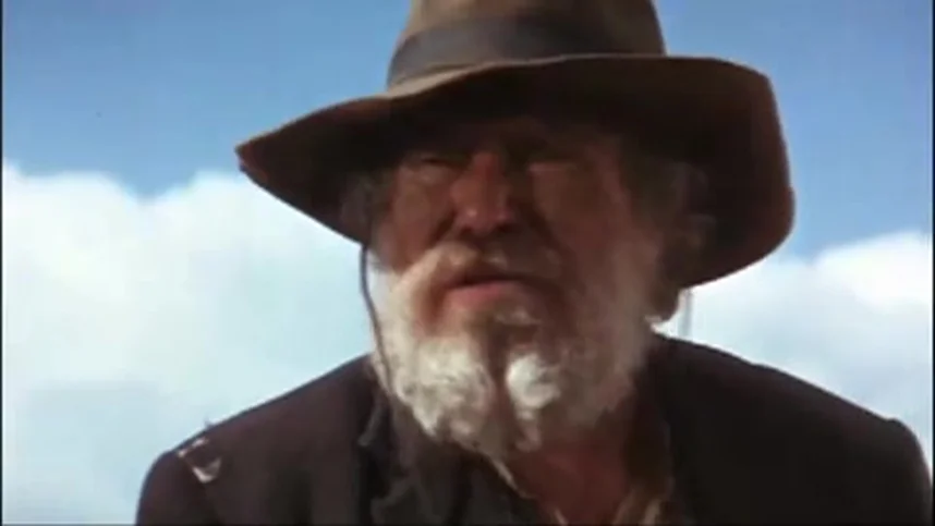 Дикая банда