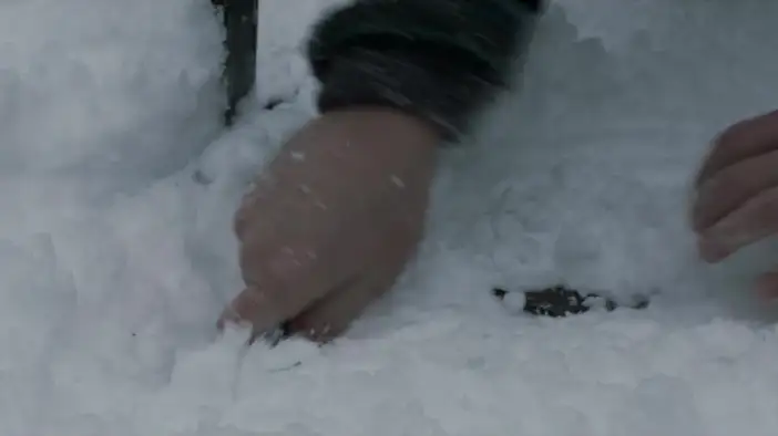 Тизер (русский язык)