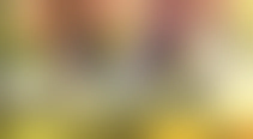 Дорога домой