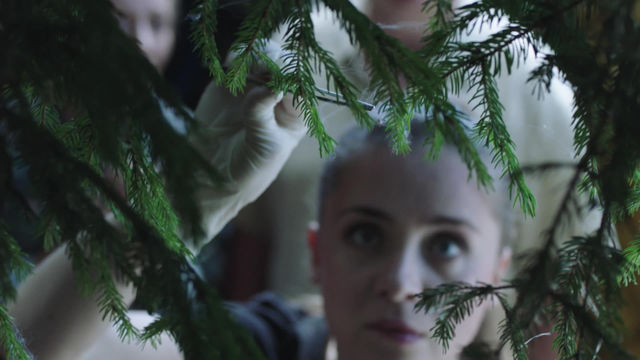 След 34 сезон 23 серия Последняя коробочка