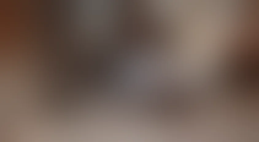 Притворщики