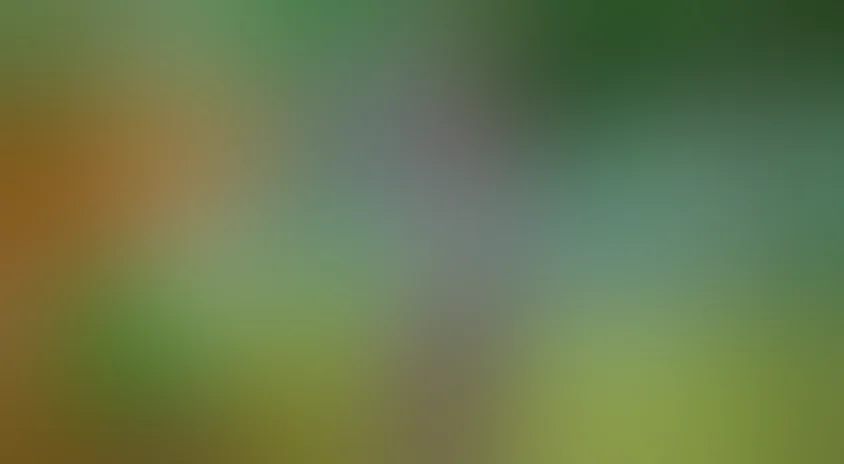 Утренняя зарядка