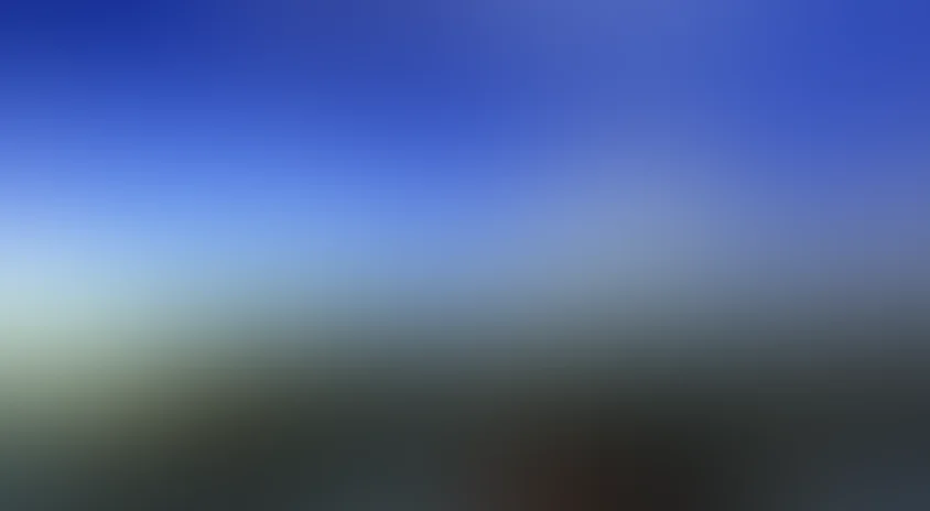 Десять лодок