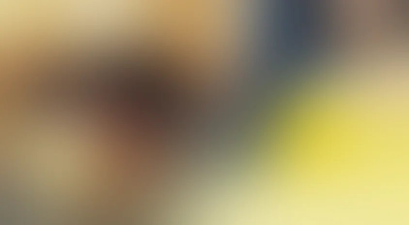 Мистер Индия