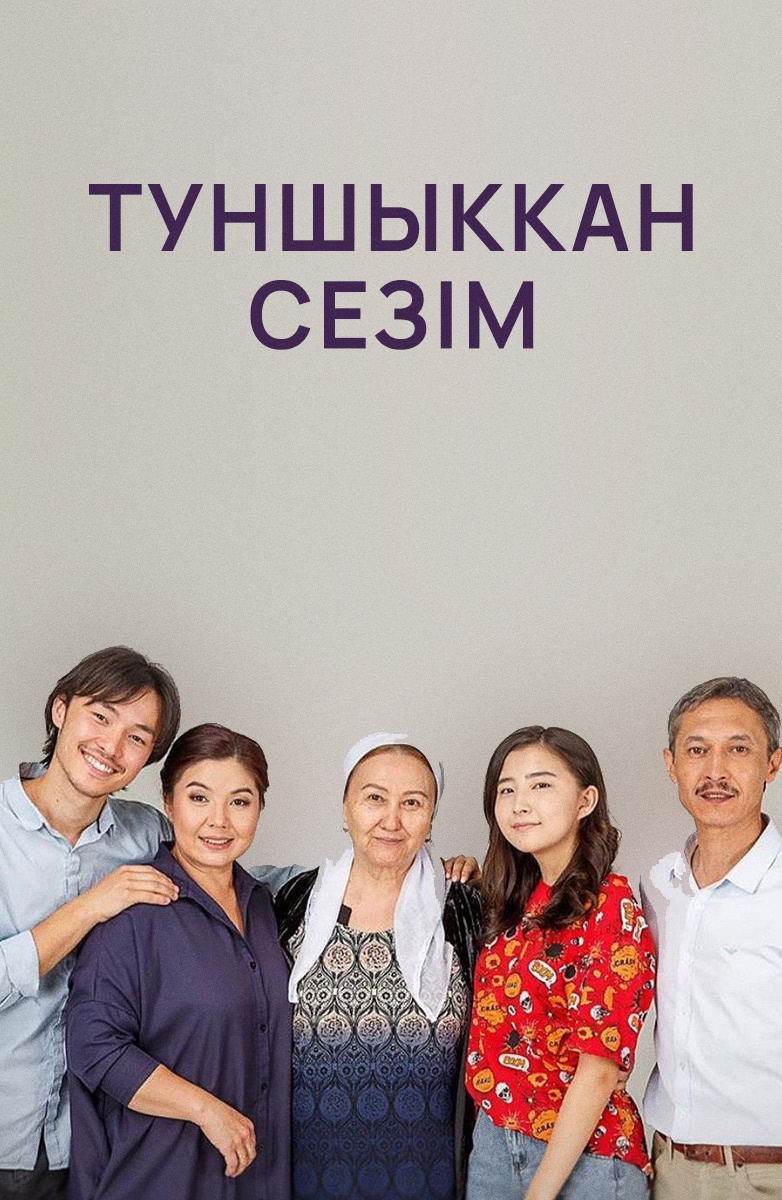 Ирония любви (на казахском языке) постер