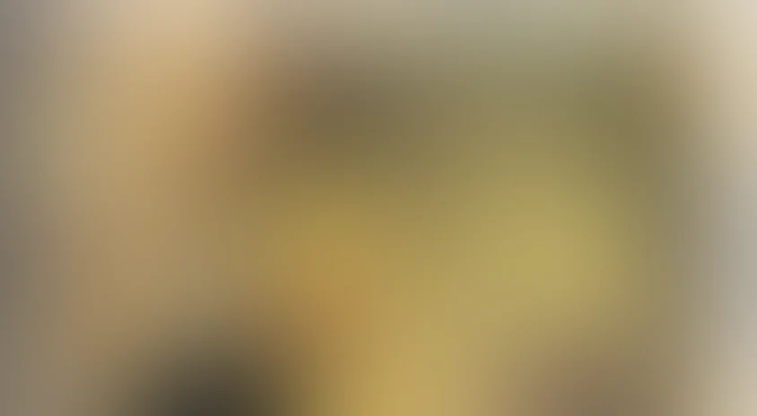 Торговцы сомнением