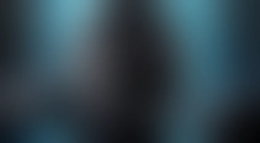 Коллекционер 2