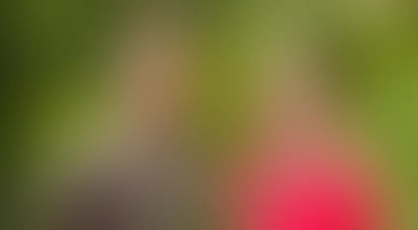 Дождаться любви