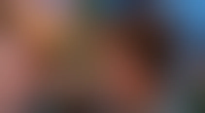 Назад к счастью или кто найдет синюю птицу