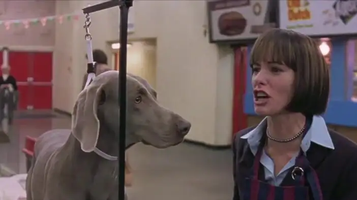 Фрагмент 6 (английский язык)