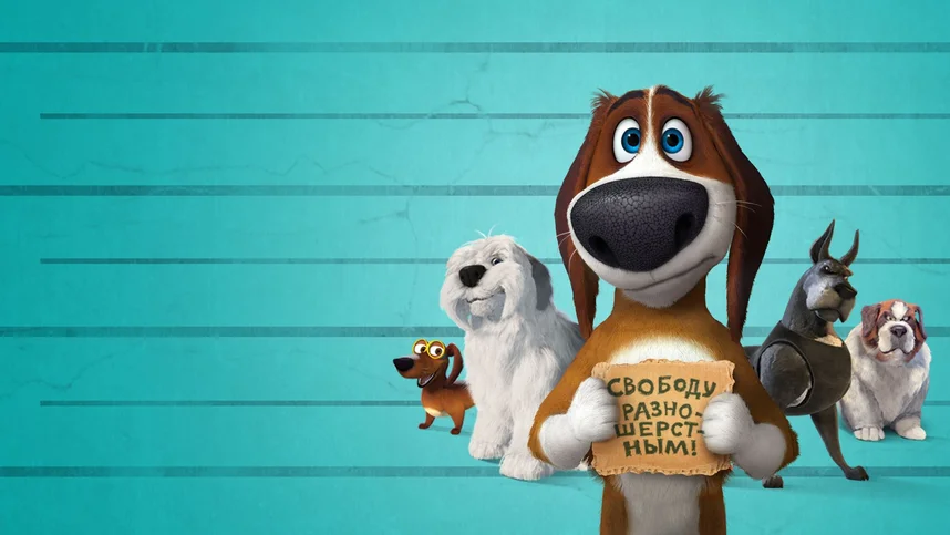 Большой собачий побег