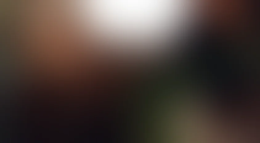 Два товарища