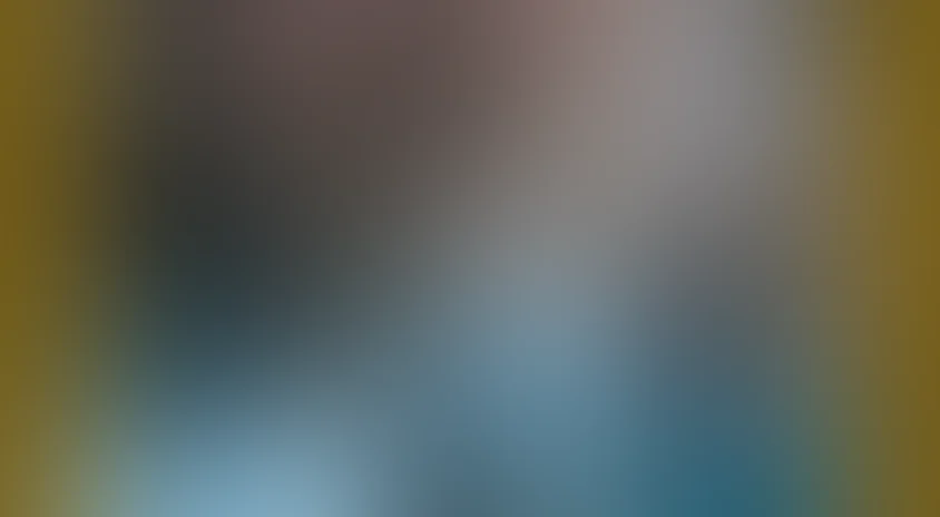 Дети Дон-Кихота