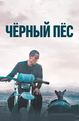 Чёрный пёс