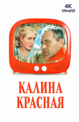 Калина красная