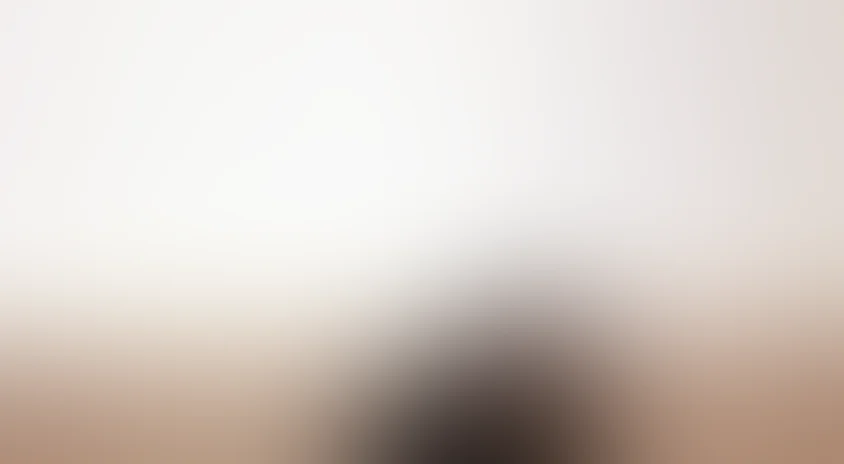 Затерянные в песках