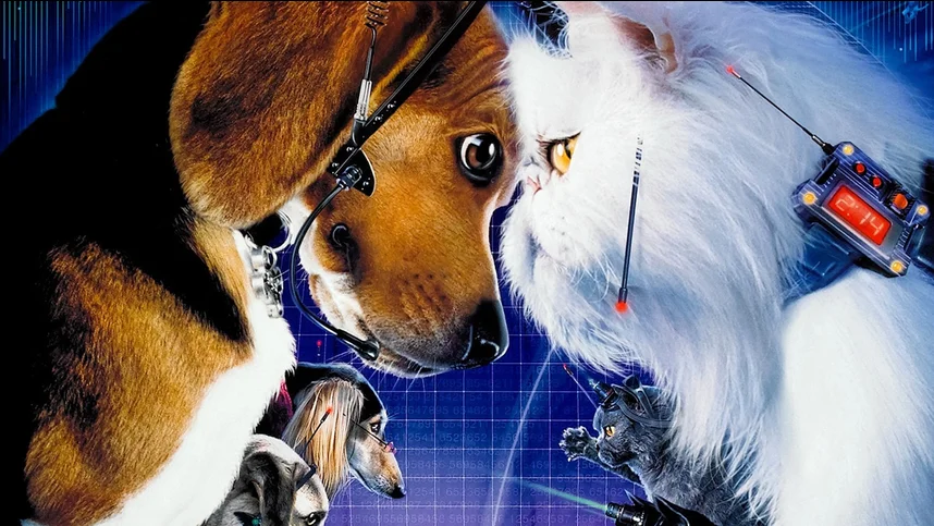 Кошки против собак