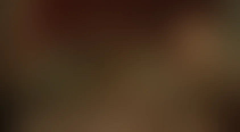 Страна медведей