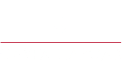 Слуга народа