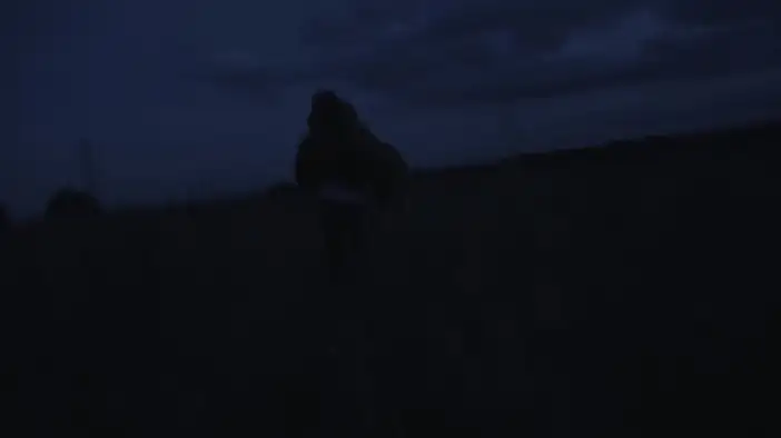 Трейлер (русский язык)