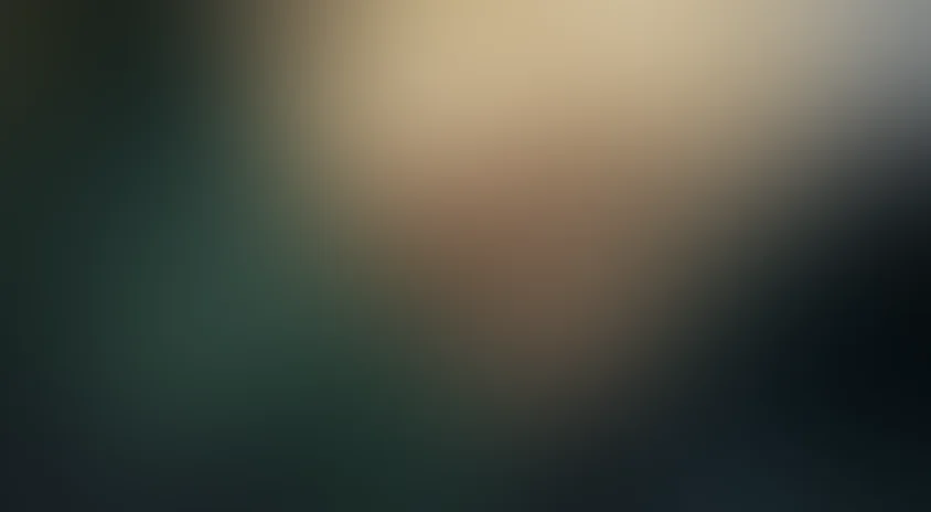 Неподкупный