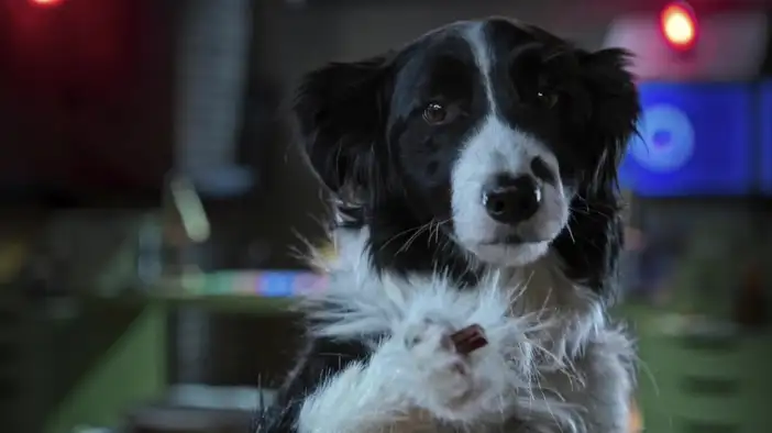 Фрагмент (дублированный)