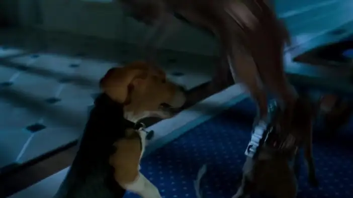 Фрагмент 3 (английский язык)