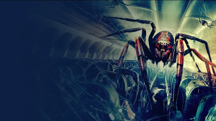 Паучий рейс