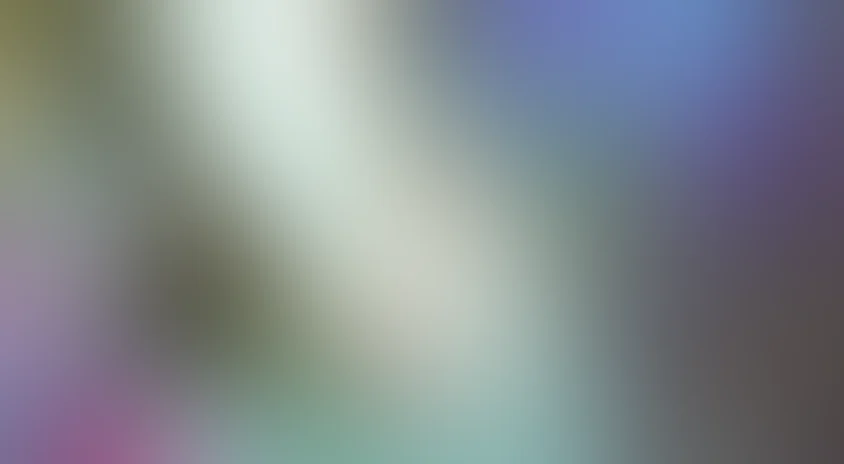 Жизнь куртизанки Охару