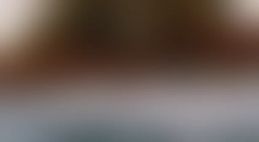 Капитан "Пилигрима"