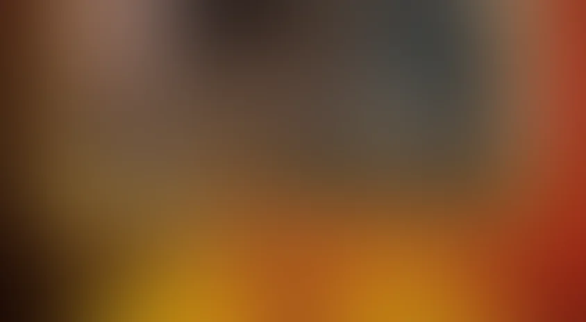 Остров сокровищ (2011)