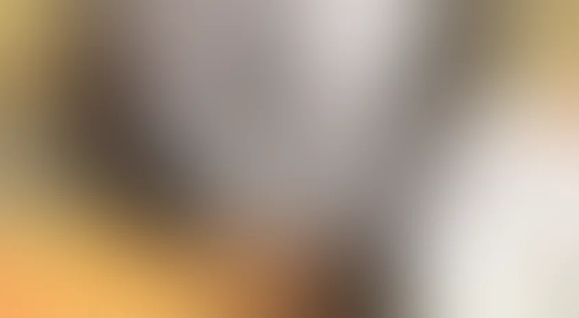 Мадам Батерфляй