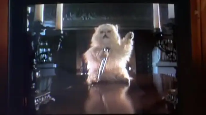 Трейлер (английский язык)