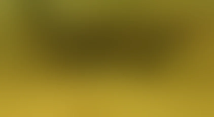 Путешествие муравья