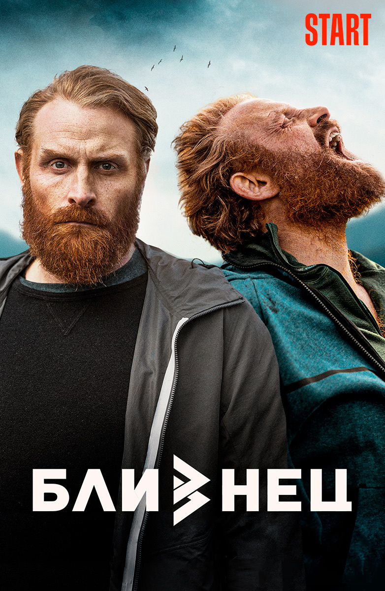 Близнец (2019) постер