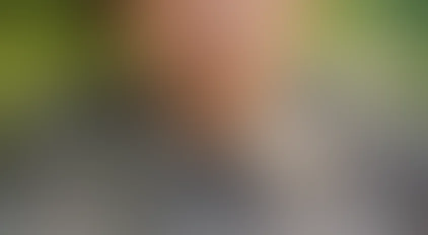 Несколько дней из жизни И.И. Обломова