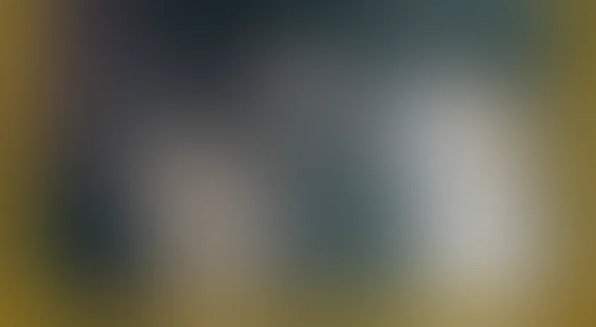 Девочка и Медведь