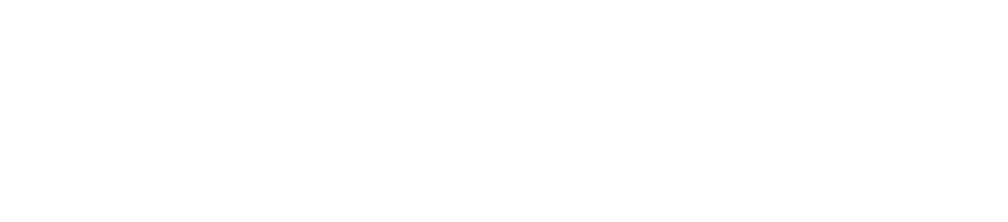 Бетти Мидлер: Шоу должно продолжаться  (на английском языке с русскими субтитрами) (программа 2010)