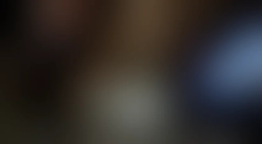 Тень стрекозы