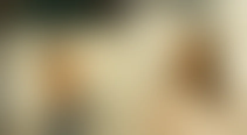 Любовь без лишних слов