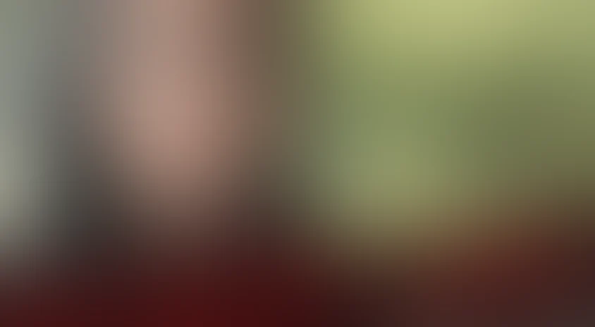 История Элли