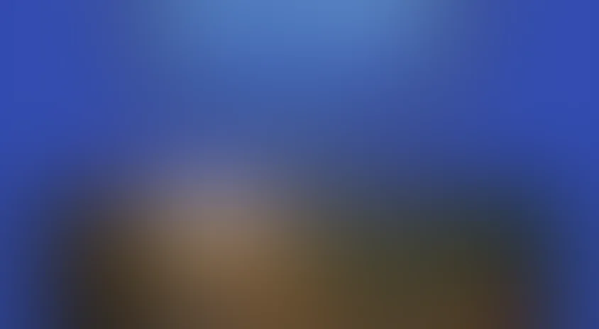 Сыскное бюро «Феликс»