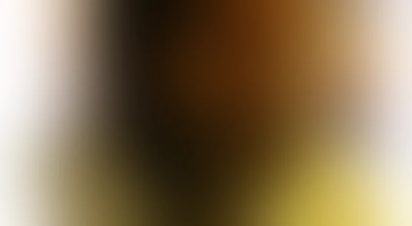 Знахарь (1981)