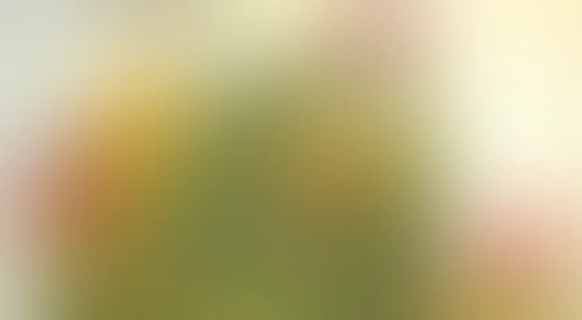 Круглый год