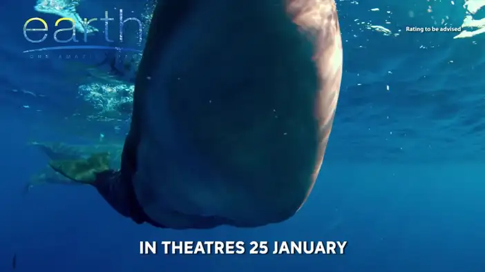 ТВ-ролик (английский язык)