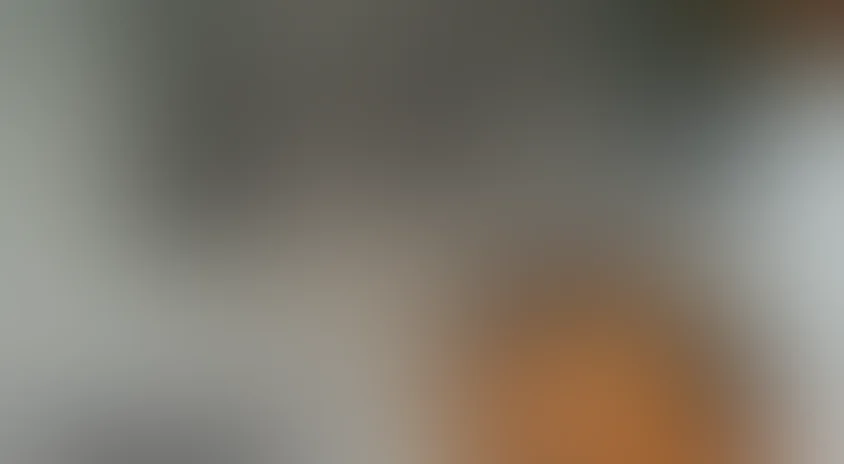 Участковый детектив