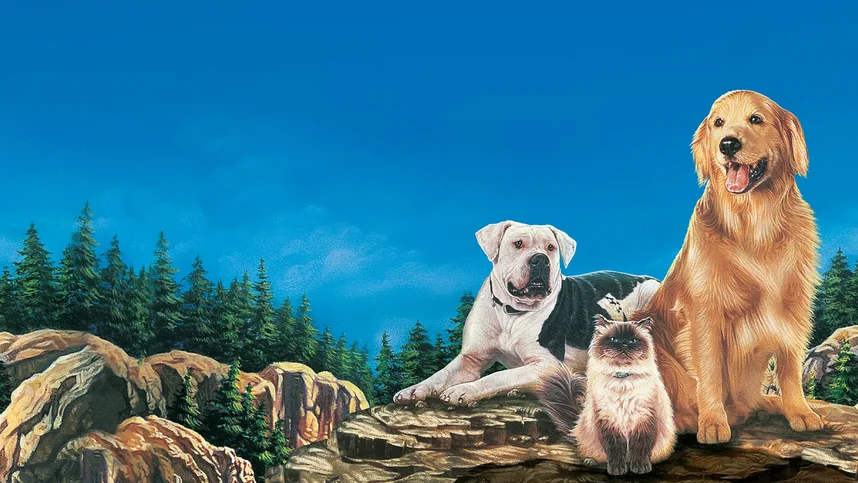 Дорога домой: Невероятное путешествие