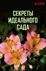 Секреты Идеального Сада