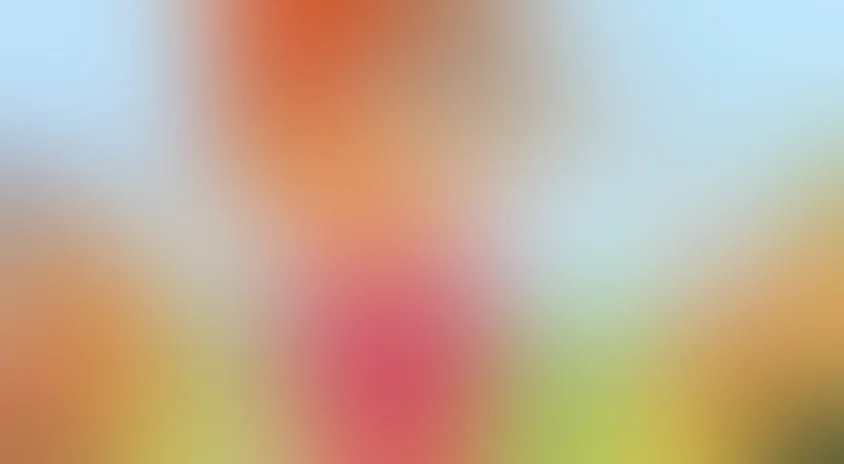 Приключения кота Леопольда